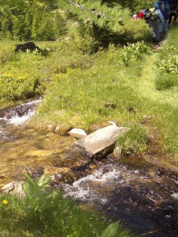 Randonnée en pleine nature dans les Hautes-Alpes